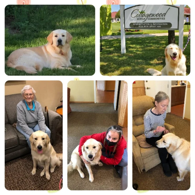 A pet therapy visit at Cottagewood